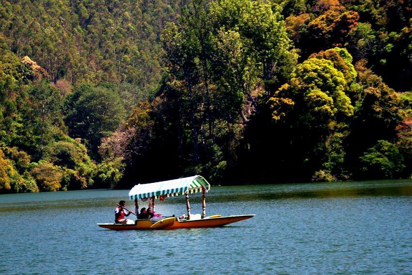 Munnar Dreams Otel Dış mekan fotoğraf