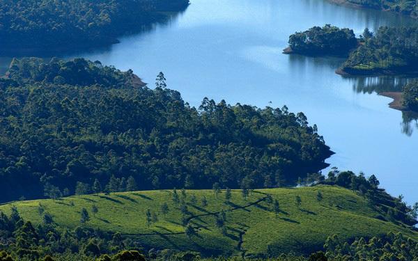 Munnar Dreams Otel Dış mekan fotoğraf