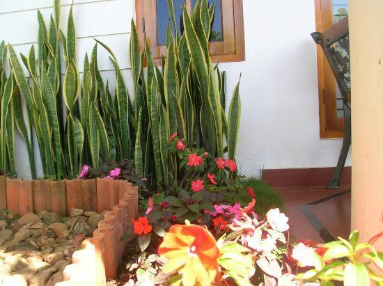 Munnar Dreams Otel Dış mekan fotoğraf